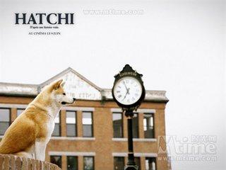 美国大片网:你喜欢美国大片吗？  第2张