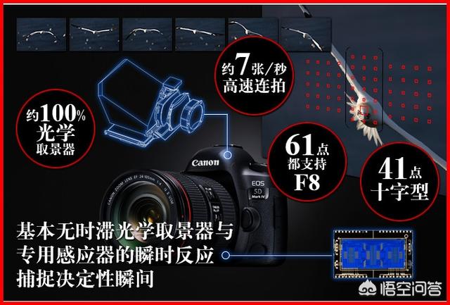 单反推荐:目前最好最值得买的专业单反数码相机有什么推荐？  第2张