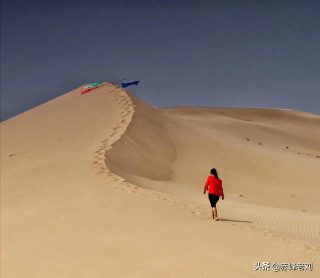 微头条是什么:微头条是什么？该用哪种方式去写？  第1张