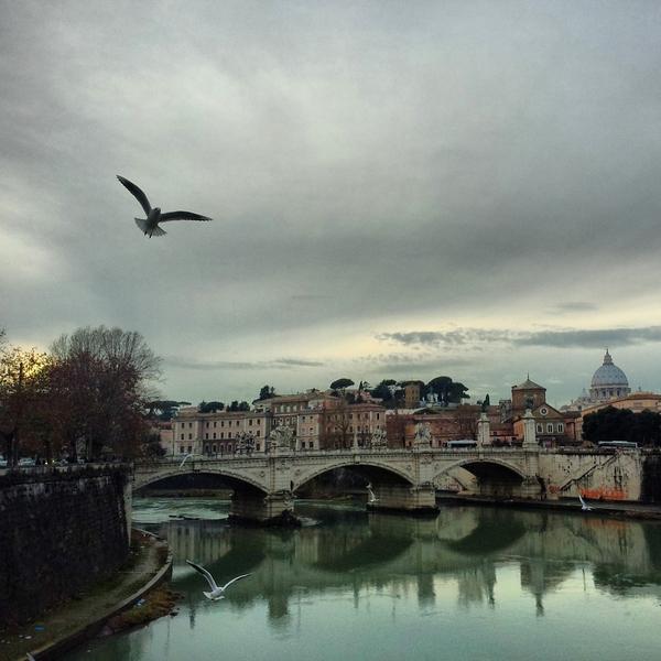 手机摄影技巧大全:手机摄影怎么拍照片更好看？  第2张