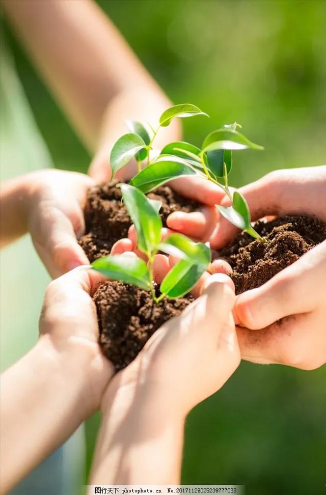 企鹅自媒体平台:今日头条，百家号，企鹅号，哪个平台适合新手做？  第1张