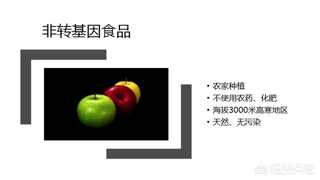 单图:只有一张图的PPT，如何排版才显得高大上？  第2张