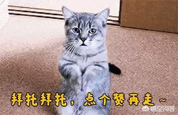 快手平台:你觉得快手算是一个什么平台？  第4张