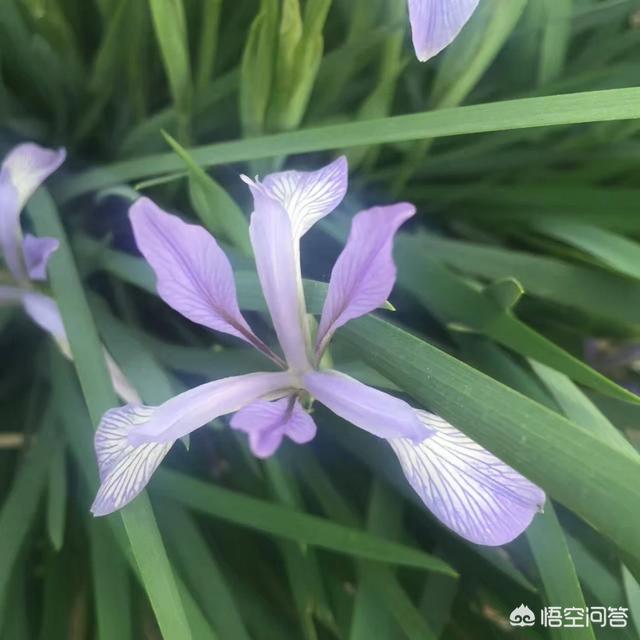 简书怎么赚钱
:简书是一个什么样的平台?在简书上发文章能赚钱吗? 第1张 简书怎么赚钱
:简书是一个什么样的平台?在简书上发文章能赚钱吗? 第1张