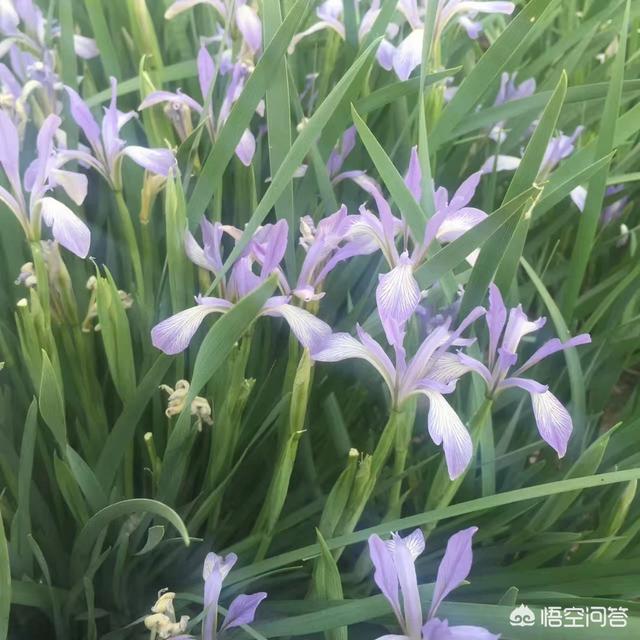 简书怎么赚钱
:简书是一个什么样的平台?在简书上发文章能赚钱吗? 第2张 简书怎么赚钱
:简书是一个什么样的平台?在简书上发文章能赚钱吗? 第2张