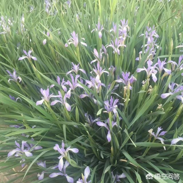 简书怎么赚钱
:简书是一个什么样的平台?在简书上发文章能赚钱吗? 第3张 简书怎么赚钱
:简书是一个什么样的平台?在简书上发文章能赚钱吗? 第3张