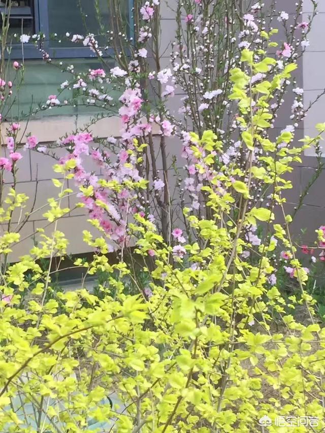 简书怎么赚钱
:简书是一个什么样的平台?在简书上发文章能赚钱吗? 第4张 简书怎么赚钱
:简书是一个什么样的平台?在简书上发文章能赚钱吗? 第4张