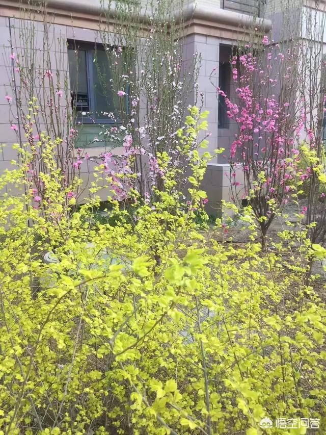 简书怎么赚钱
:简书是一个什么样的平台?在简书上发文章能赚钱吗? 第5张 简书怎么赚钱
:简书是一个什么样的平台?在简书上发文章能赚钱吗? 第5张