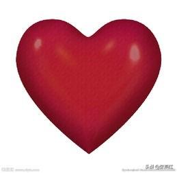 头条好:怎么管理好自己的头条号？  第2张