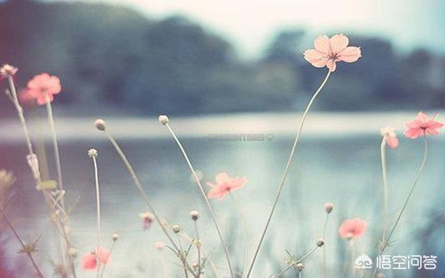 徐卓:有哪些歌背后的故事很凄惨？  第2张