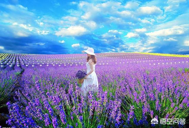 徐卓:有哪些歌背后的故事很凄惨？  第3张