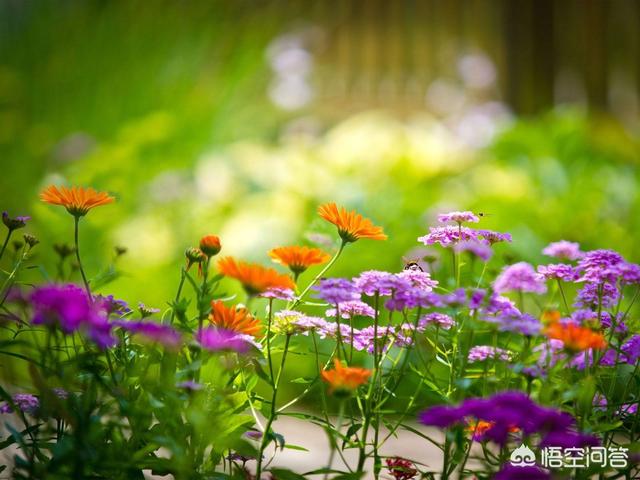 徐卓:有哪些歌背后的故事很凄惨？  第4张