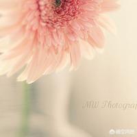 徐卓:有哪些歌背后的故事很凄惨？  第8张