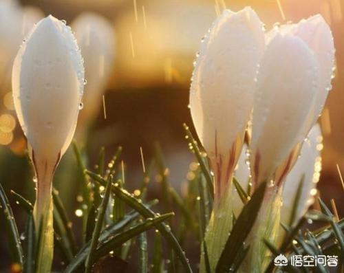 徐卓:有哪些歌背后的故事很凄惨？  第9张