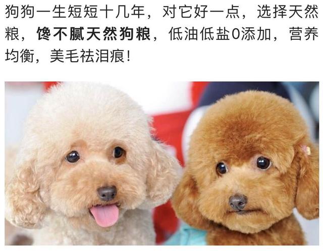 公众号的运营:怎么运营微信公众号？  第13张