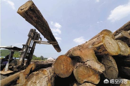 张展鹏
:“红木定制设计师联盟”启动,红木定制时代真的来了吗? 第4张 张展鹏
:“红木定制设计师联盟”启动,红木定制时代真的来了吗? 第4张