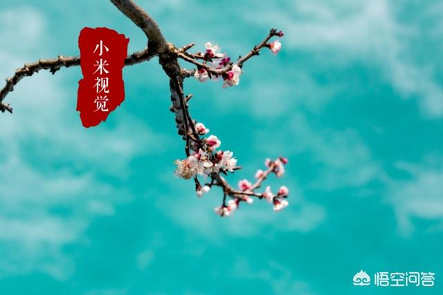 在线去水印网站
:推荐个去照片水印的工具? 第1张 在线去水印网站
:推荐个去照片水印的工具? 第1张