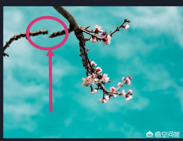 在线去水印网站
:推荐个去照片水印的工具? 第10张 在线去水印网站
:推荐个去照片水印的工具? 第10张