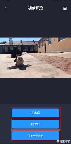 抖音在线解析:抖音视频水印怎么解析？  第5张