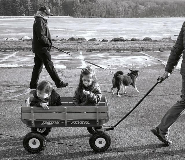 acdsee15:我们每天从上千件投稿里甄选，庞大的工作量背后是一群厉害的人们  第14张