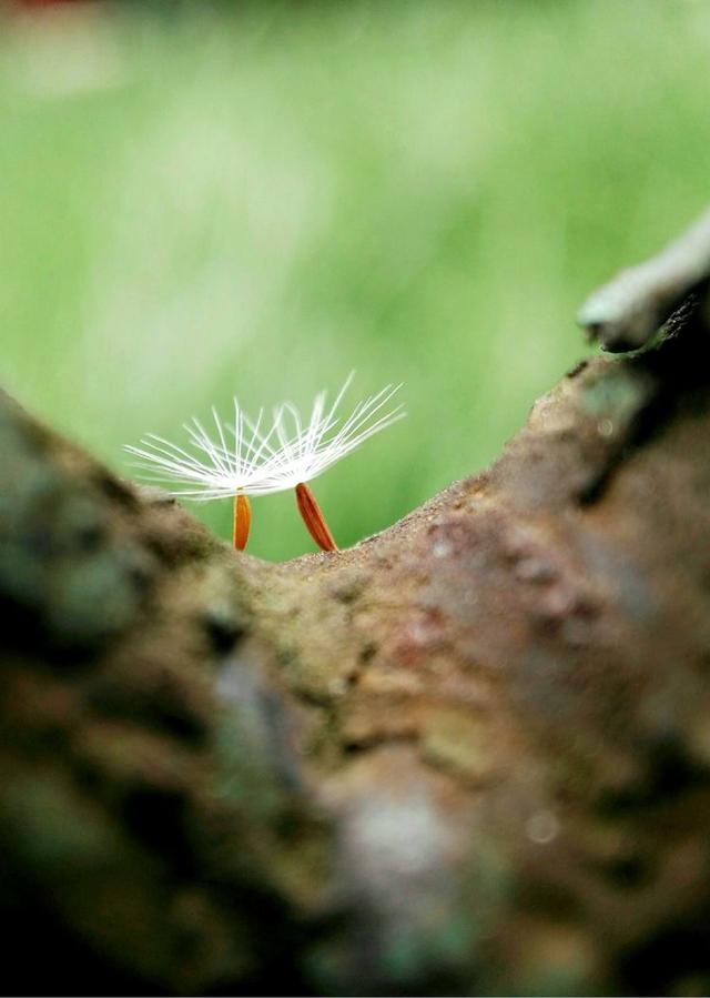 acdsee15:我们每天从上千件投稿里甄选，庞大的工作量背后是一群厉害的人们  第16张