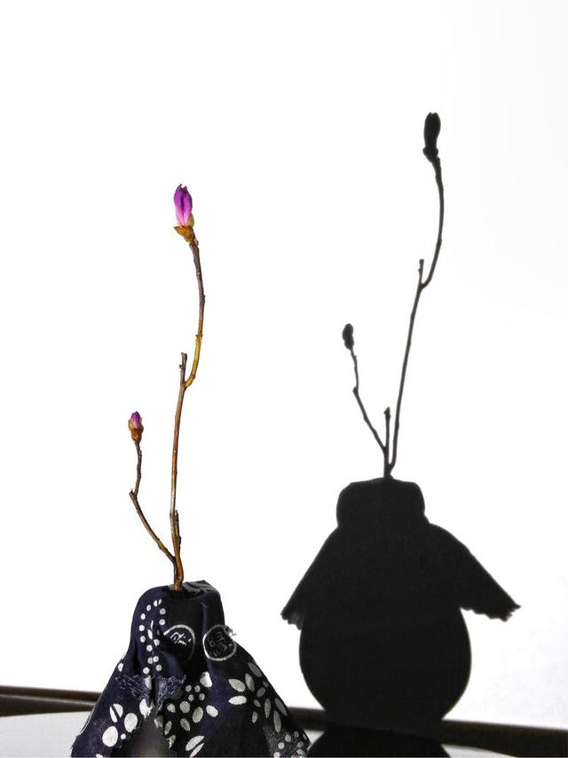 acdsee15:我们每天从上千件投稿里甄选，庞大的工作量背后是一群厉害的人们  第20张