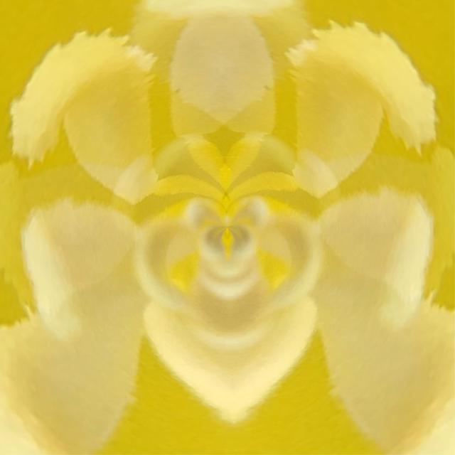 acdsee15:我们每天从上千件投稿里甄选，庞大的工作量背后是一群厉害的人们  第22张