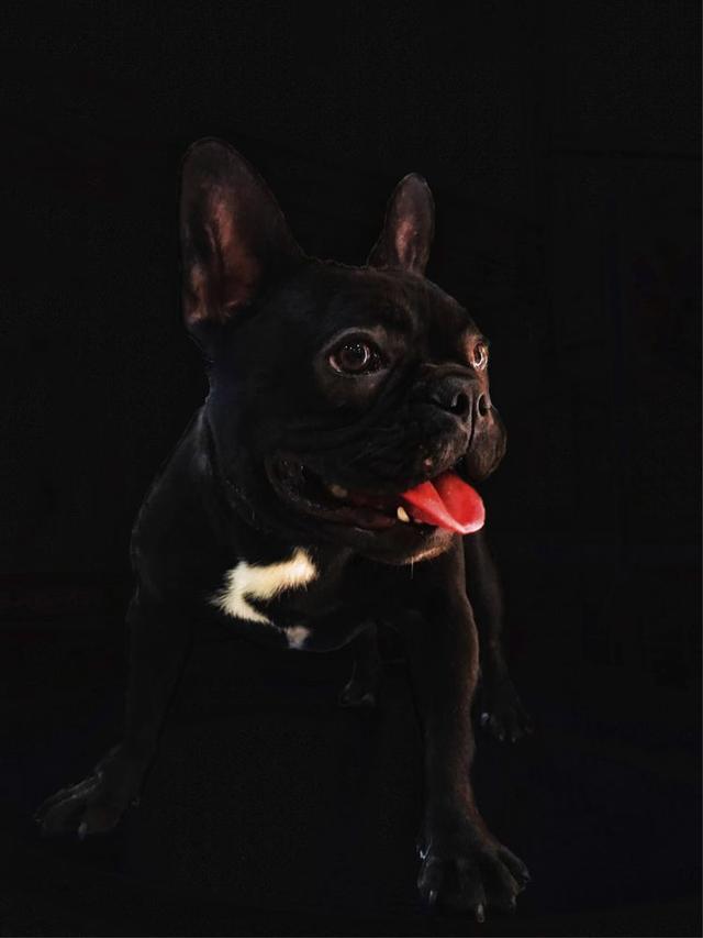 acdsee15:我们每天从上千件投稿里甄选，庞大的工作量背后是一群厉害的人们  第25张