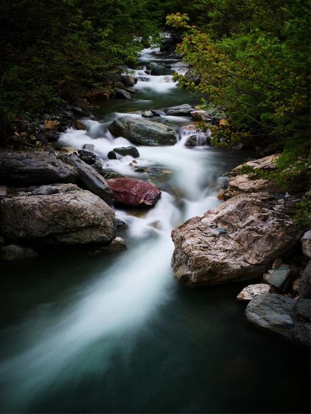 acdsee15:我们每天从上千件投稿里甄选，庞大的工作量背后是一群厉害的人们  第26张