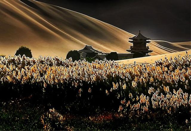 acdsee15:我们每天从上千件投稿里甄选，庞大的工作量背后是一群厉害的人们  第31张