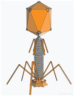 柏拉图立体:为什么正多面体只有5种，有没有更加直观易懂的解释？  第11张