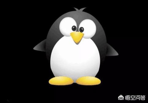 搜狐号自媒体平台:目前主流的自媒体平台有哪些？  第8张