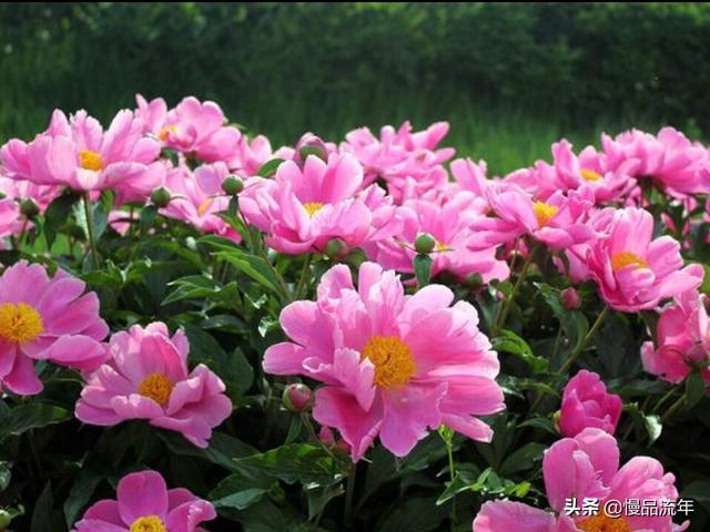 今日头条怎么私信
:在今日头条上怎么给作者发私信,用手机怎样操作? 怎么样聊天才不会碰到红线? 第2张 今日头条怎么私信
:在今日头条上怎么给作者发私信,用手机怎样操作? 怎么样聊天才不会碰到红线? 第2张