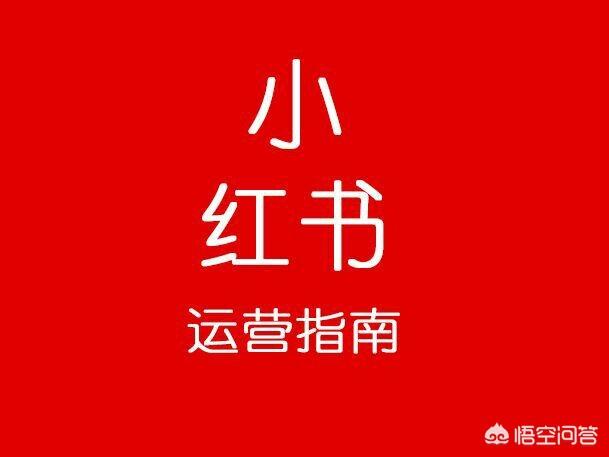 小红书能赚钱吗
:怎样在小红书做推广赚钱？  第1张