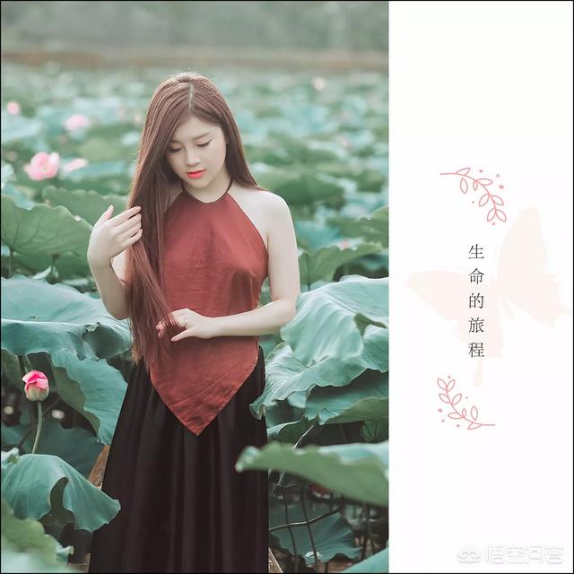 相框制作软件:用摄影修图软件可以做出哪些好看的相框？  第16张