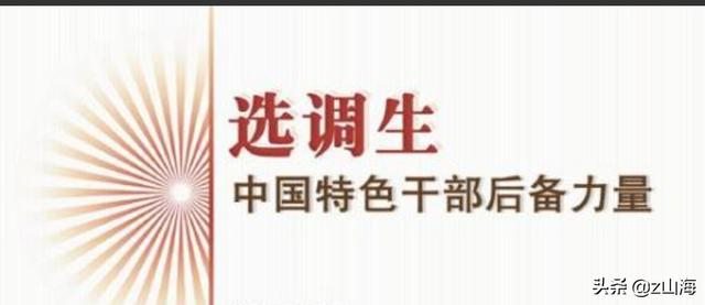 msw是什么意思:选调生是什么意思？  第3张