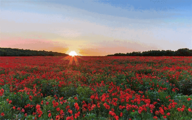 头像名称:能否推荐一些好的微信名和头像？  第2张