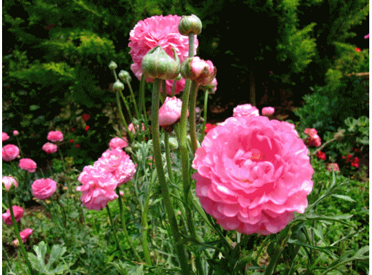 头像名称:能否推荐一些好的微信名和头像？  第3张