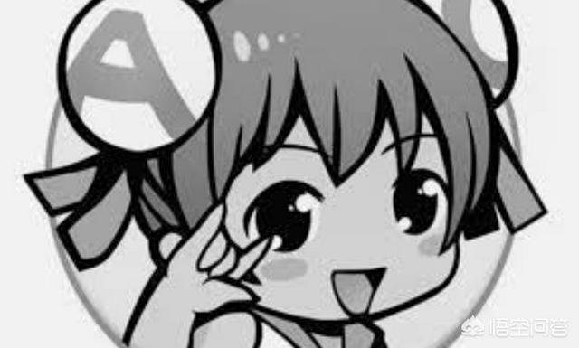 p站入口:a站、b站、p站都是什么站？  第1张