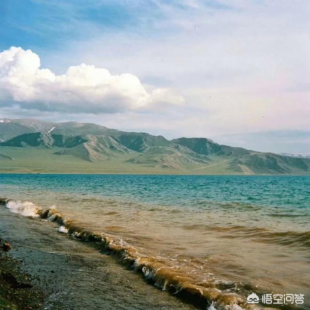 百度培训:从阿里、百度出来的互联网人士如何赋能青少儿体育培训机构？  第1张