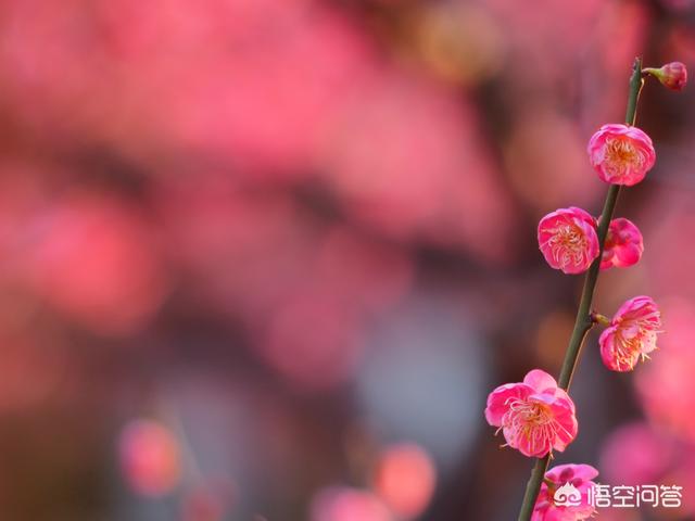 色彩搭配技巧:色彩颜色如何搭配调色？  第1张