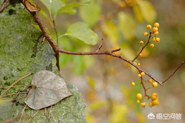 色彩搭配技巧:色彩颜色如何搭配调色？  第3张