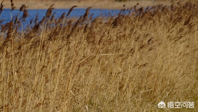 色彩搭配技巧:色彩颜色如何搭配调色？  第4张