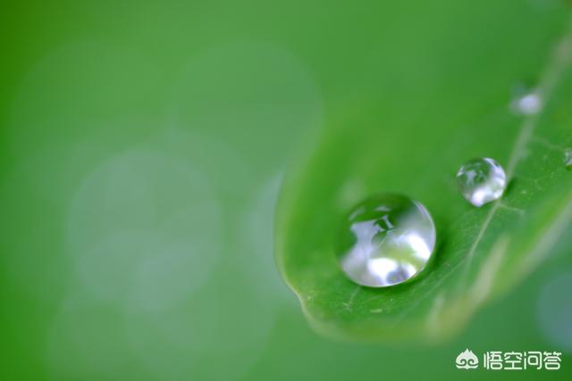 色彩搭配技巧:色彩颜色如何搭配调色？  第5张