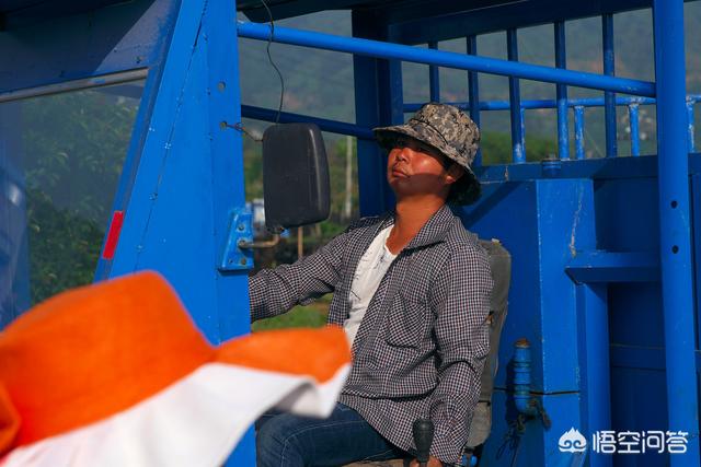 色彩搭配技巧:色彩颜色如何搭配调色？  第6张