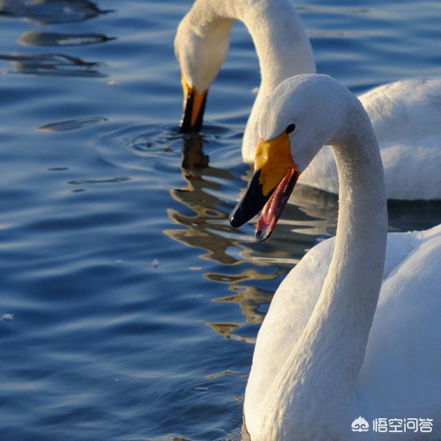 色彩搭配技巧:色彩颜色如何搭配调色？  第8张