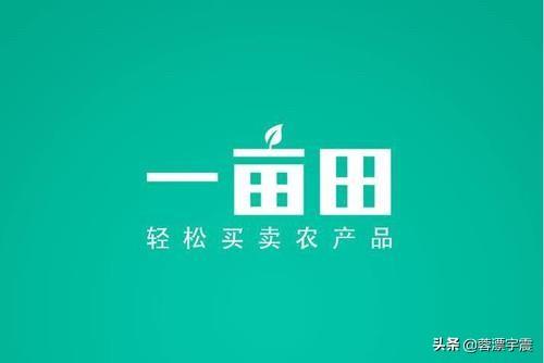快手小店通
:现在哪个平台的电商适合个人开店？  第1张
