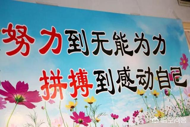 怎么成为网红:怎样才能当网红？  第3张