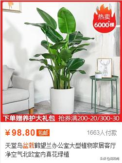 淘宝违禁词:淘宝店需要注意点什么？  第1张