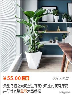 淘宝违禁词:淘宝店需要注意点什么？  第2张